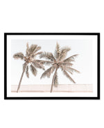 Palm Resort III Art Print-PRINT-Olive et Oriel-Olive et Oriel-A5 | 5.8" x 8.3" | 14.8 x 21cm-Black-With White Border-Buy-Australian-Art-Prints-Online-with-Olive-et-Oriel-Your-Artwork-Specialists-Austrailia-Decorate-With-Coastal-Photo-Wall-Art-Prints-From-Our-Beach-House-Artwork-Collection-Fine-Poster-and-Framed-Artwork