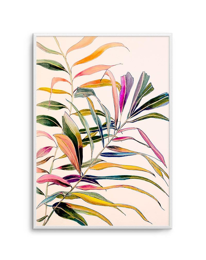 Palm by Leigh Viner Art Print-PRINT-Olive et Oriel-Leigh Viner-A5 | 5.8" x 8.3" | 14.8 x 21cm-Unframed Art Print-With White Border-Buy-Australian-Art-Prints-Online-with-Olive-et-Oriel-Your-Artwork-Specialists-Austrailia-Decorate-With-Coastal-Photo-Wall-Art-Prints-From-Our-Beach-House-Artwork-Collection-Fine-Poster-and-Framed-Artwork