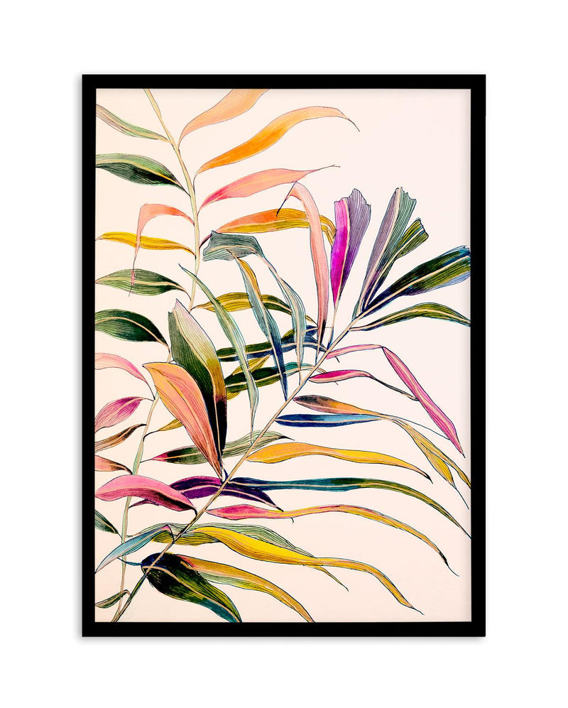Palm by Leigh Viner Art Print-PRINT-Olive et Oriel-Leigh Viner-A5 | 5.8" x 8.3" | 14.8 x 21cm-Black-With White Border-Buy-Australian-Art-Prints-Online-with-Olive-et-Oriel-Your-Artwork-Specialists-Austrailia-Decorate-With-Coastal-Photo-Wall-Art-Prints-From-Our-Beach-House-Artwork-Collection-Fine-Poster-and-Framed-Artwork