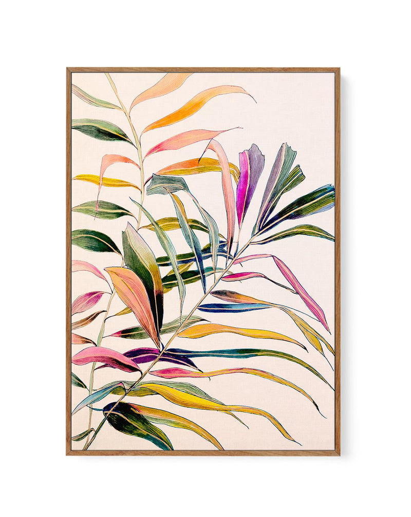 Palm by Leigh Viner | Framed Canvas-CANVAS-You can shop wall art online with Olive et Oriel for everything from abstract art to fun kids wall art. Our beautiful modern art prints and canvas art are available from large canvas prints to wall art paintings and our proudly Australian artwork collection offers only the highest quality framed large wall art and canvas art Australia - You can buy fashion photography prints or Hampton print posters and paintings on canvas from Olive et Oriel and have t