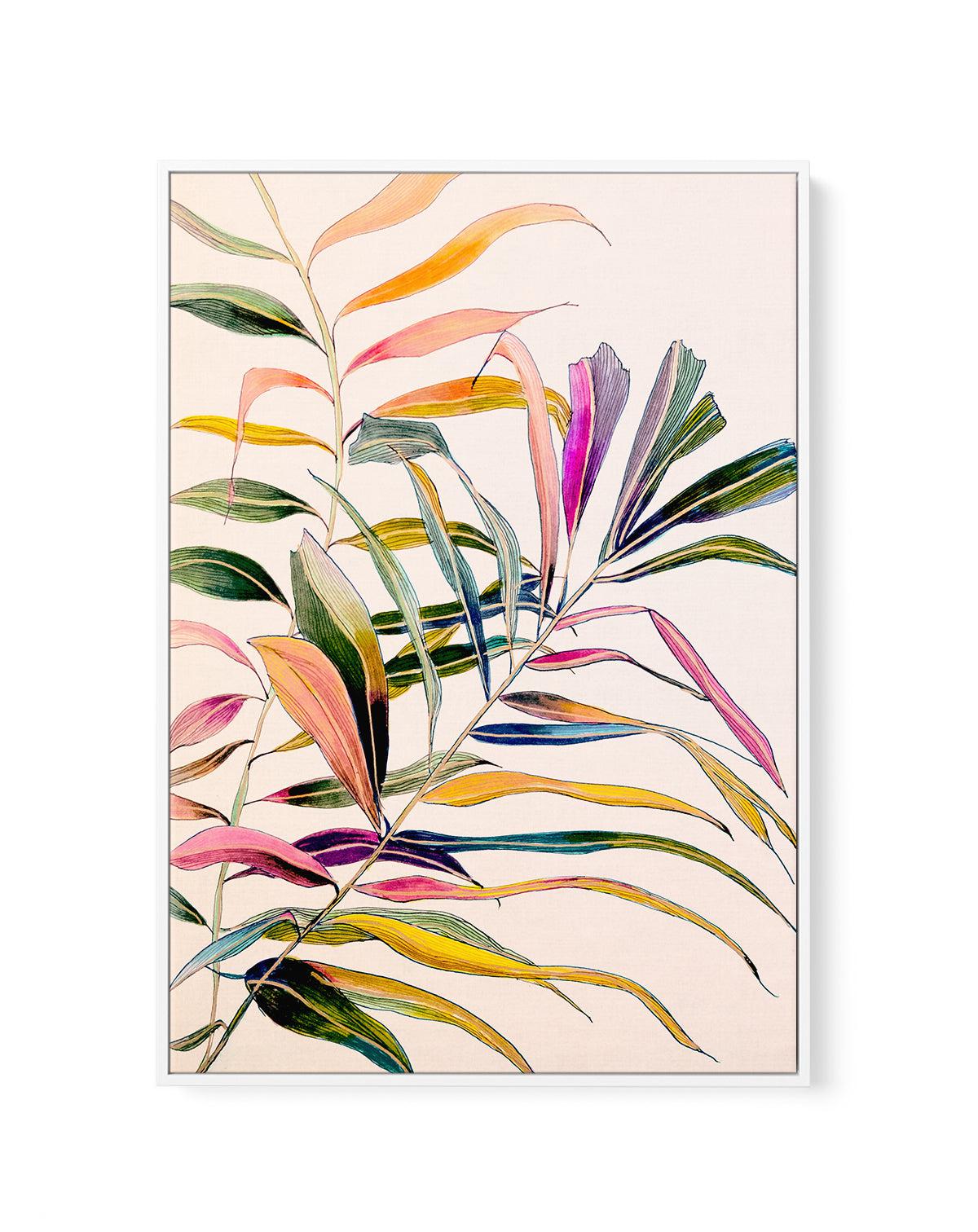 Palm by Leigh Viner | Framed Canvas-CANVAS-You can shop wall art online with Olive et Oriel for everything from abstract art to fun kids wall art. Our beautiful modern art prints and canvas art are available from large canvas prints to wall art paintings and our proudly Australian artwork collection offers only the highest quality framed large wall art and canvas art Australia - You can buy fashion photography prints or Hampton print posters and paintings on canvas from Olive et Oriel and have t