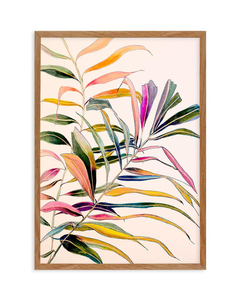 Palm by Leigh Viner Art Print-PRINT-Olive et Oriel-Leigh Viner-50x70 cm | 19.6" x 27.5"-Walnut-With White Border-Buy-Australian-Art-Prints-Online-with-Olive-et-Oriel-Your-Artwork-Specialists-Austrailia-Decorate-With-Coastal-Photo-Wall-Art-Prints-From-Our-Beach-House-Artwork-Collection-Fine-Poster-and-Framed-Artwork