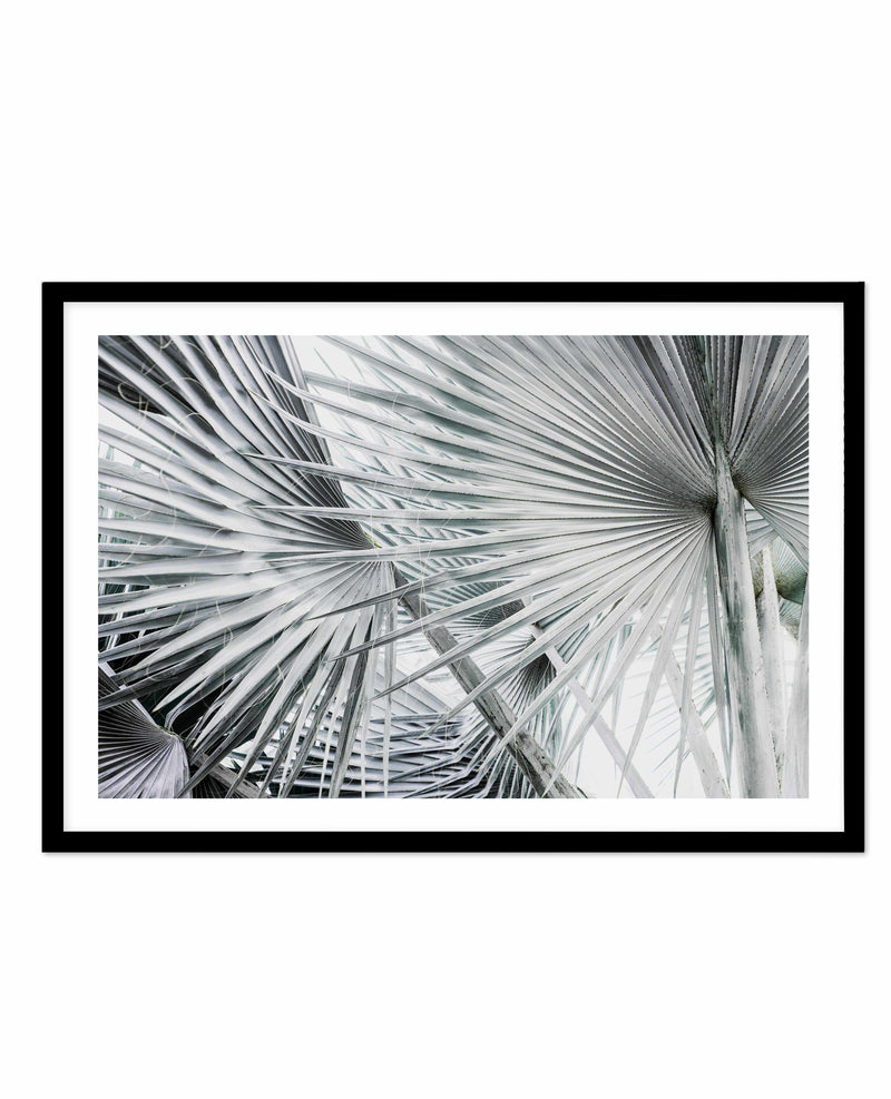 Palmier | LS Art Print-PRINT-Olive et Oriel-Olive et Oriel-A4 | 8.3" x 11.7" | 21 x 29.7cm-Black-With White Border-Buy-Australian-Art-Prints-Online-with-Olive-et-Oriel-Your-Artwork-Specialists-Austrailia-Decorate-With-Coastal-Photo-Wall-Art-Prints-From-Our-Beach-House-Artwork-Collection-Fine-Poster-and-Framed-Artwork