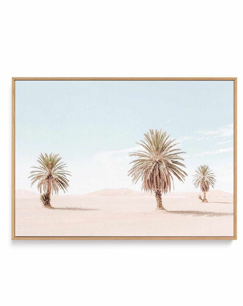Palms Of Morocco | Framed Canvas Art Print
