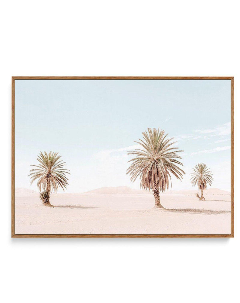 Palms Of Morocco | Framed Canvas-Shop Australian Art Prints Online with Olive et Oriel - Our collection of Moroccan art prints offer unique wall art including moroccan arches and pink morocco doors of marrakech - this collection will add soft feminine colour to your walls and some may say bohemian style. These traditional morocco landscape photography includes desert scenes of palm trees and camel art prints - there is art on canvas and extra large wall art with fast, free shipping across Austra