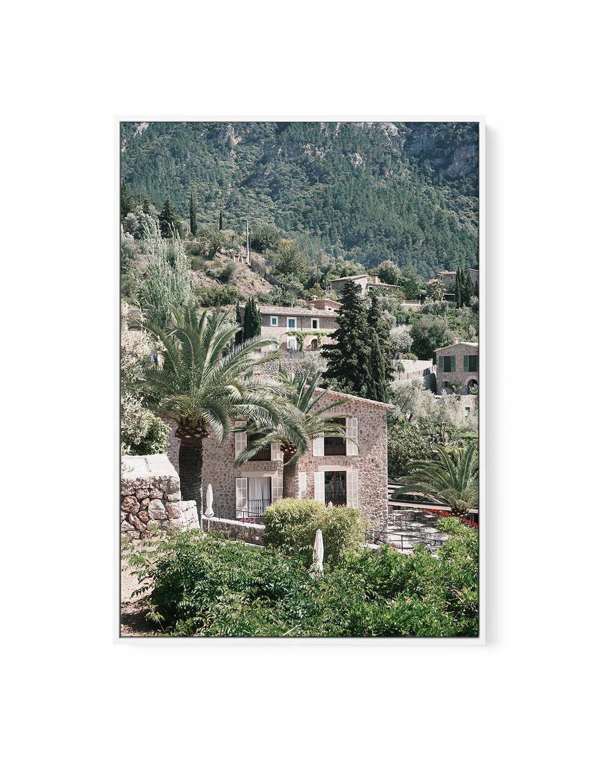 Palms in Italy by Renee Rae | Framed Canvas Art Print