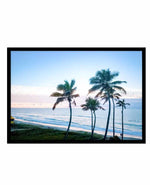 Palms of Surfers Paradise Art Print-PRINT-Olive et Oriel-Olive et Oriel-A5 | 5.8" x 8.3" | 14.8 x 21cm-Black-With White Border-Buy-Australian-Art-Prints-Online-with-Olive-et-Oriel-Your-Artwork-Specialists-Austrailia-Decorate-With-Coastal-Photo-Wall-Art-Prints-From-Our-Beach-House-Artwork-Collection-Fine-Poster-and-Framed-Artwork