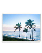 Palms of Surfers Paradise | Framed Canvas-CANVAS-You can shop wall art online with Olive et Oriel for everything from abstract art to fun kids wall art. Our beautiful modern art prints and canvas art are available from large canvas prints to wall art paintings and our proudly Australian artwork collection offers only the highest quality framed large wall art and canvas art Australia - You can buy fashion photography prints or Hampton print posters and paintings on canvas from Olive et Oriel and 