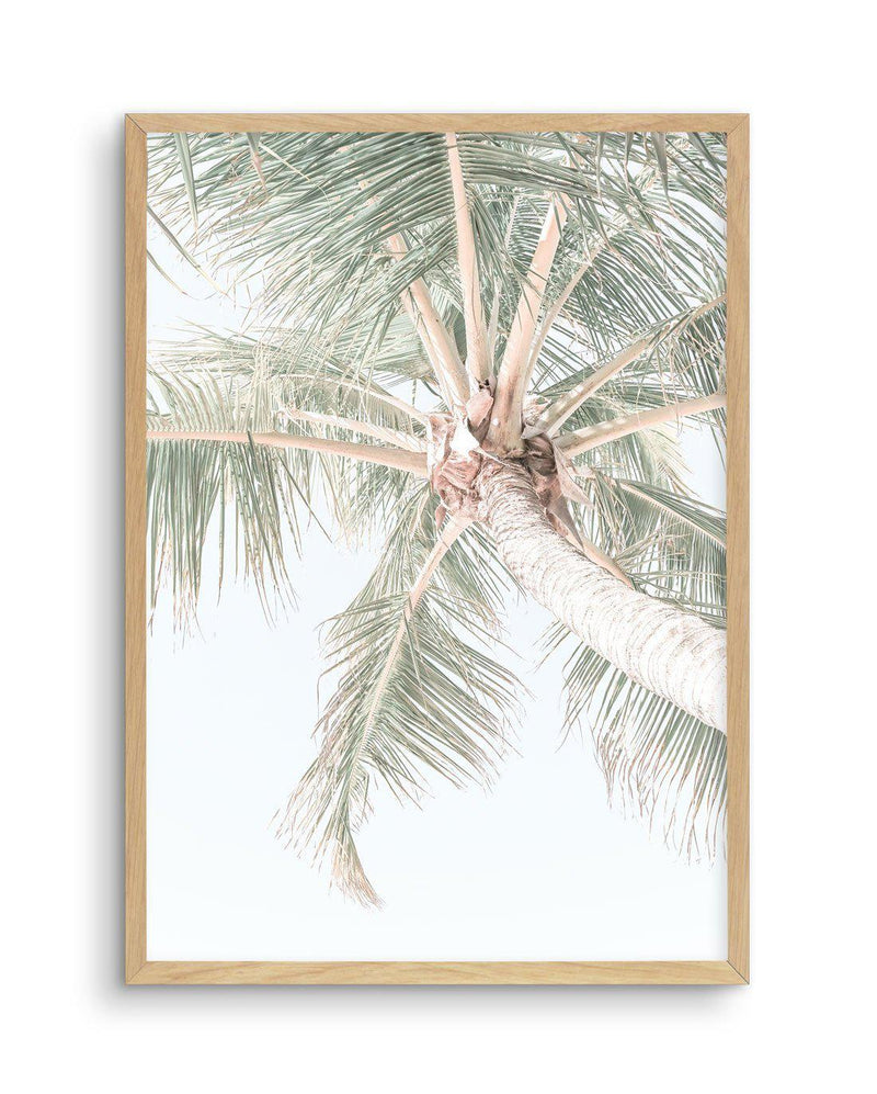 Palmy Days | Noosa Art Print-PRINT-Olive et Oriel-Olive et Oriel-A4 | 8.3" x 11.7" | 21 x 29.7cm-Oak-With White Border-Buy-Australian-Art-Prints-Online-with-Olive-et-Oriel-Your-Artwork-Specialists-Austrailia-Decorate-With-Coastal-Photo-Wall-Art-Prints-From-Our-Beach-House-Artwork-Collection-Fine-Poster-and-Framed-Artwork