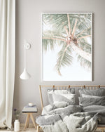Palmy Days | Noosa Art Print-PRINT-Olive et Oriel-Olive et Oriel-Buy-Australian-Art-Prints-Online-with-Olive-et-Oriel-Your-Artwork-Specialists-Austrailia-Decorate-With-Coastal-Photo-Wall-Art-Prints-From-Our-Beach-House-Artwork-Collection-Fine-Poster-and-Framed-Artwork