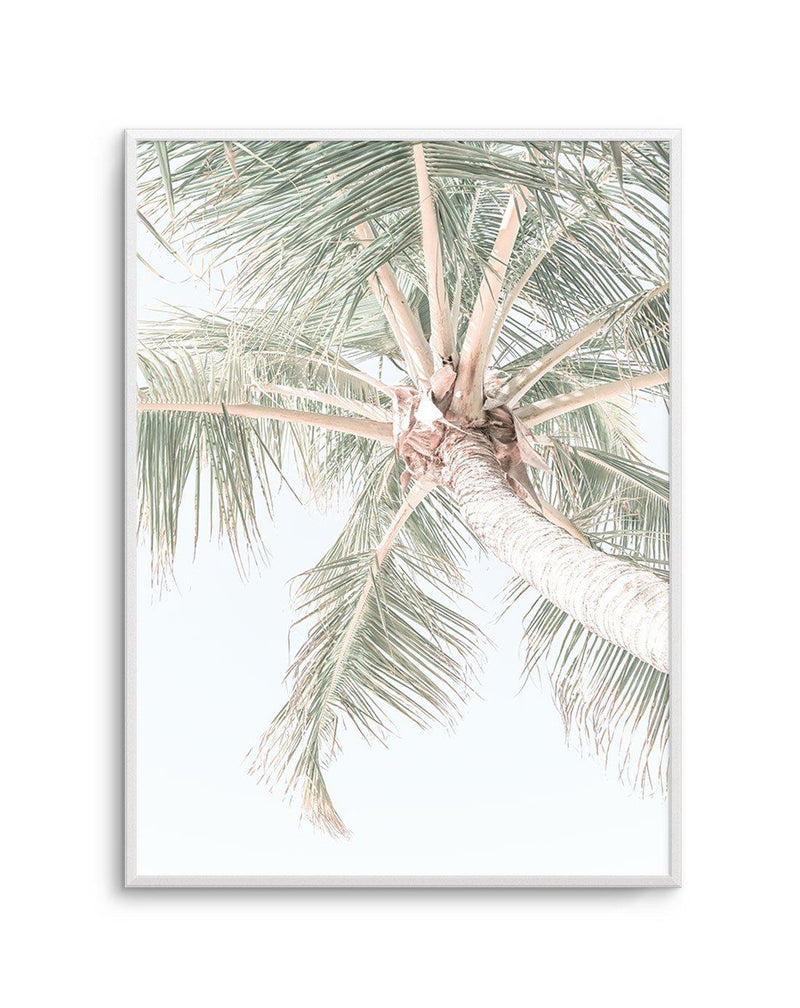 Palmy Days | Noosa Art Print-PRINT-Olive et Oriel-Olive et Oriel-A4 | 8.3" x 11.7" | 21 x 29.7cm-Unframed Art Print-With White Border-Buy-Australian-Art-Prints-Online-with-Olive-et-Oriel-Your-Artwork-Specialists-Austrailia-Decorate-With-Coastal-Photo-Wall-Art-Prints-From-Our-Beach-House-Artwork-Collection-Fine-Poster-and-Framed-Artwork