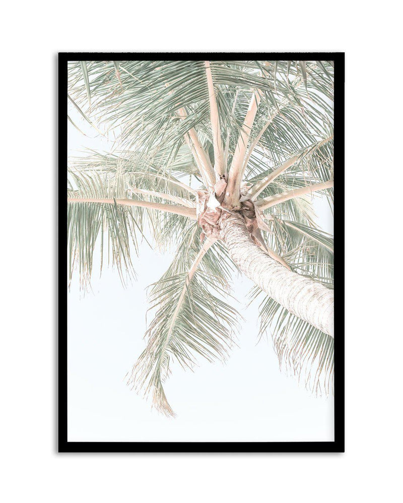Palmy Days | Noosa Art Print-PRINT-Olive et Oriel-Olive et Oriel-A4 | 8.3" x 11.7" | 21 x 29.7cm-Black-With White Border-Buy-Australian-Art-Prints-Online-with-Olive-et-Oriel-Your-Artwork-Specialists-Austrailia-Decorate-With-Coastal-Photo-Wall-Art-Prints-From-Our-Beach-House-Artwork-Collection-Fine-Poster-and-Framed-Artwork