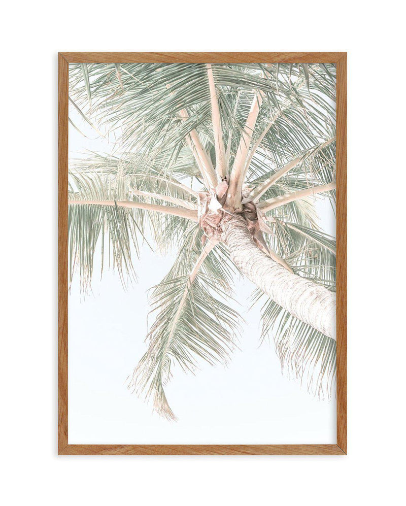 Palmy Days | Noosa Art Print-PRINT-Olive et Oriel-Olive et Oriel-50x70 cm | 19.6" x 27.5"-Walnut-With White Border-Buy-Australian-Art-Prints-Online-with-Olive-et-Oriel-Your-Artwork-Specialists-Austrailia-Decorate-With-Coastal-Photo-Wall-Art-Prints-From-Our-Beach-House-Artwork-Collection-Fine-Poster-and-Framed-Artwork