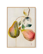 Pear by Leigh Viner | Framed Canvas-CANVAS-You can shop wall art online with Olive et Oriel for everything from abstract art to fun kids wall art. Our beautiful modern art prints and canvas art are available from large canvas prints to wall art paintings and our proudly Australian artwork collection offers only the highest quality framed large wall art and canvas art Australia - You can buy fashion photography prints or Hampton print posters and paintings on canvas from Olive et Oriel and have t