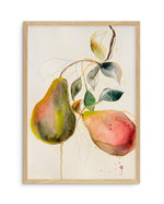 Pear by Leigh Viner Art Print-PRINT-Olive et Oriel-Leigh Viner-A5 | 5.8" x 8.3" | 14.8 x 21cm-Oak-With White Border-Buy-Australian-Art-Prints-Online-with-Olive-et-Oriel-Your-Artwork-Specialists-Austrailia-Decorate-With-Coastal-Photo-Wall-Art-Prints-From-Our-Beach-House-Artwork-Collection-Fine-Poster-and-Framed-Artwork