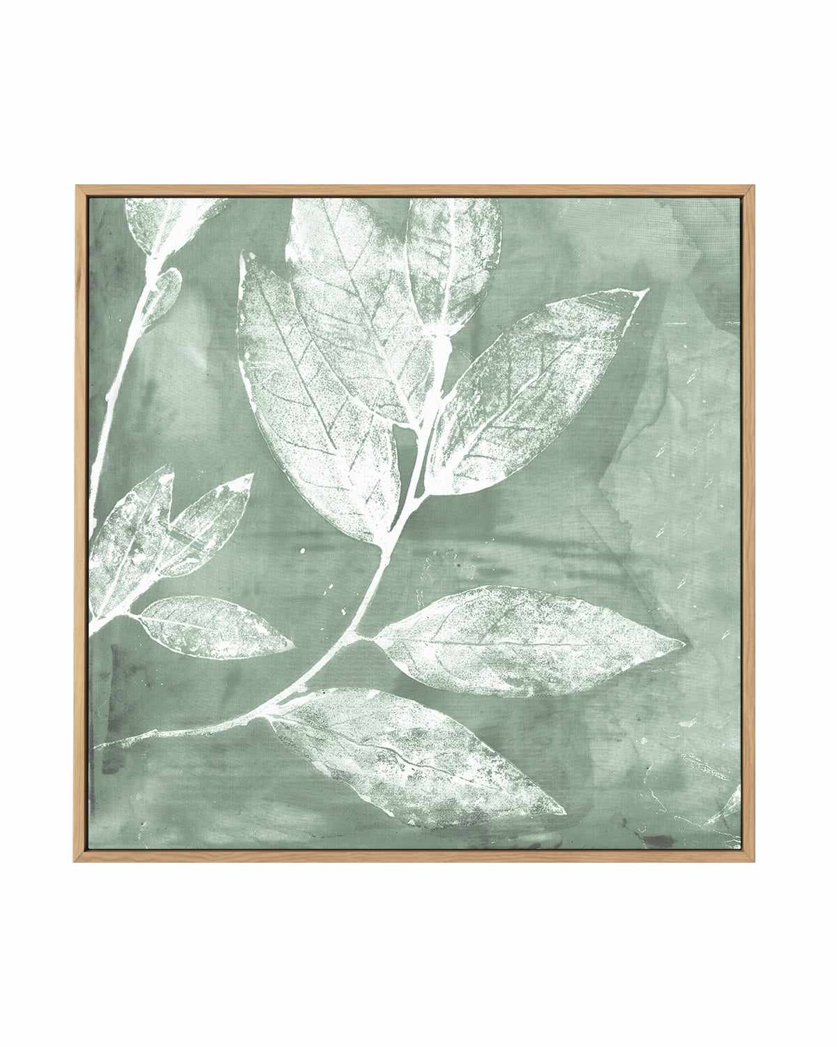 Petal Imprint I Sage | Framed Canvas Art Print