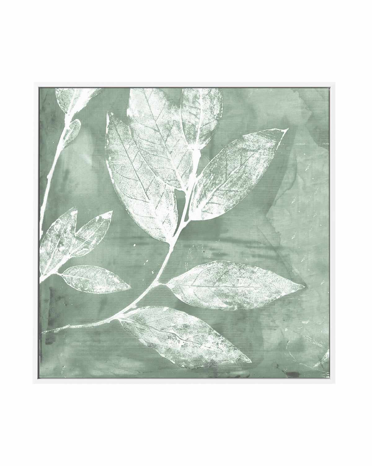 Petal Imprint I Sage | Framed Canvas Art Print