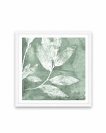 Petal Imprint I Sage Art Print-PRINT-Order sage mint green framed abstract painting wall art prints online with Olive et Oriel Australia