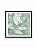 Petal Imprint I Sage Art Print-PRINT-Order sage mint green framed abstract painting wall art prints online with Olive et Oriel Australia
