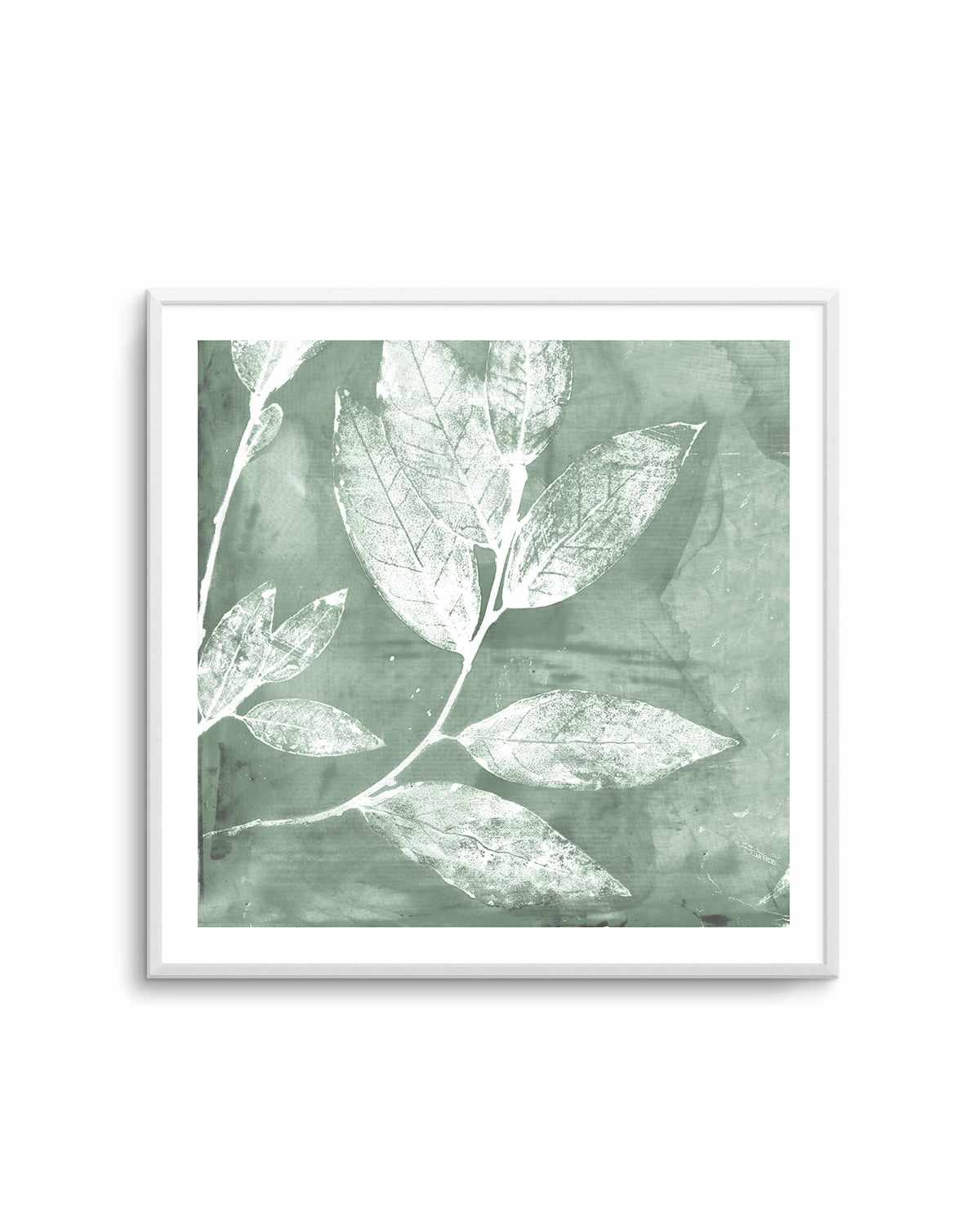 Petal Imprint I Sage Art Print-PRINT-Order sage mint green framed abstract painting wall art prints online with Olive et Oriel Australia