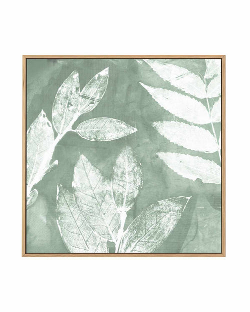 Petal Imprint II Sage | Framed Canvas Art Print