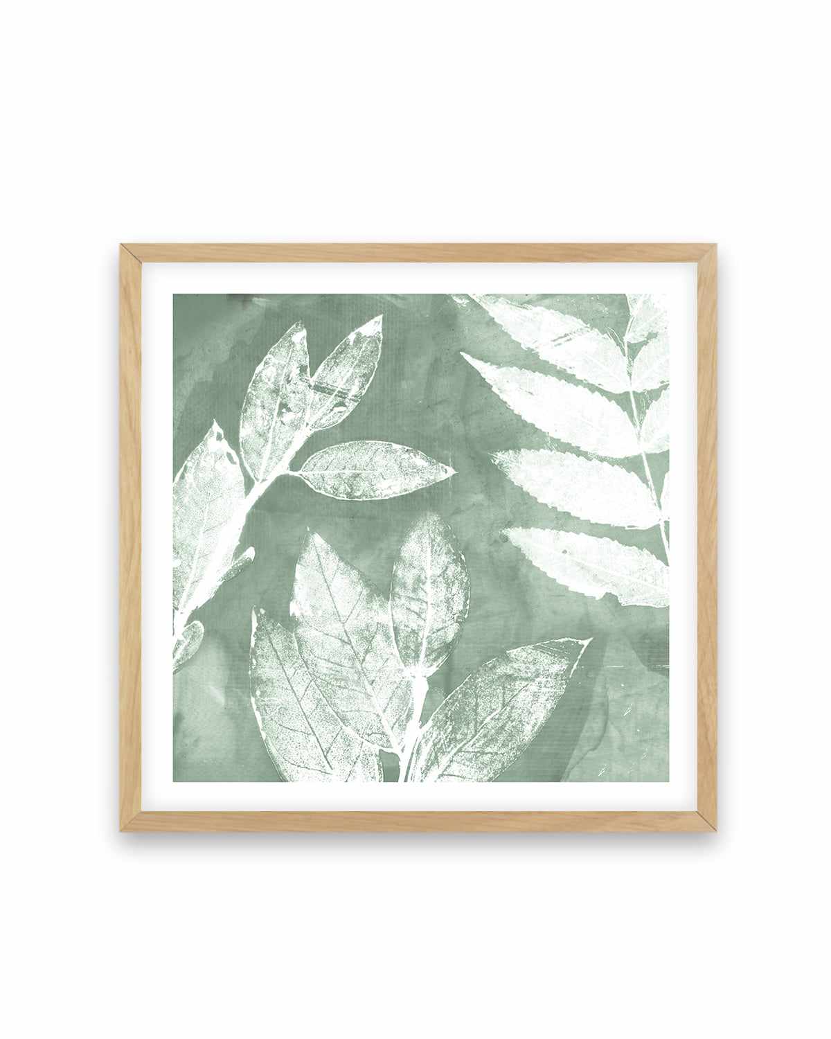 Petal Imprint II Sage Art Print-PRINT-Order sage mint green framed abstract painting wall art prints online with Olive et Oriel Australia