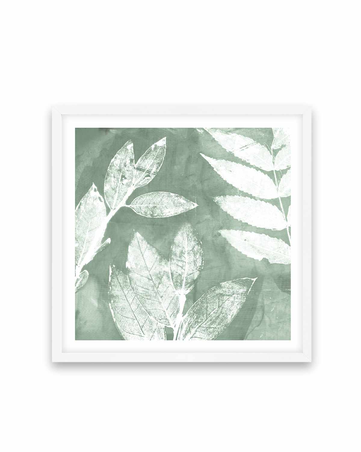 Petal Imprint II Sage Art Print-PRINT-Order sage mint green framed abstract painting wall art prints online with Olive et Oriel Australia