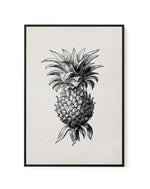 Pineapple Illustration | Framed Canvas-CANVAS-You can shop wall art online with Olive et Oriel for everything from abstract art to fun kids wall art. Our beautiful modern art prints and canvas art are available from large canvas prints to wall art paintings and our proudly Australian artwork collection offers only the highest quality framed large wall art and canvas art Australia - You can buy fashion photography prints or Hampton print posters and paintings on canvas from Olive et Oriel and hav