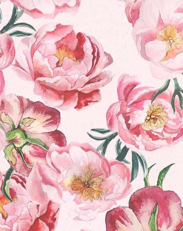 Pink Peony Flowers Stick On Self-adhesive Designer Fabric Wallpaper ...