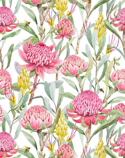 Pink Waratah Wallpaper-Wallpaper-Buy Kids Removable Wallpaper Online Our Custom Made Children√¢‚Ç¨‚Ñ¢s Wallpapers Are A Fun Way To Decorate And Enhance Boys Bedroom Decor And Girls Bedrooms They Are An Amazing Addition To Your Kids Bedroom Walls Our Collection of Kids Wallpaper Is Sure To Transform Your Kids Rooms Interior Style From Pink Wallpaper To Dinosaur Wallpaper Even Marble Wallpapers For Teen Boys Shop Peel And Stick Wallpaper Online Today With Olive et Oriel