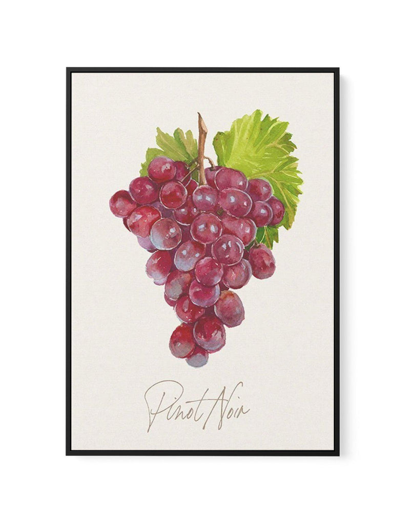 Pinot Noir | Framed Canvas-CANVAS-You can shop wall art online with Olive et Oriel for everything from abstract art to fun kids wall art. Our beautiful modern art prints and canvas art are available from large canvas prints to wall art paintings and our proudly Australian artwork collection offers only the highest quality framed large wall art and canvas art Australia - You can buy fashion photography prints or Hampton print posters and paintings on canvas from Olive et Oriel and have them deliv