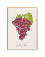 Pinot Noir | Framed Canvas-CANVAS-You can shop wall art online with Olive et Oriel for everything from abstract art to fun kids wall art. Our beautiful modern art prints and canvas art are available from large canvas prints to wall art paintings and our proudly Australian artwork collection offers only the highest quality framed large wall art and canvas art Australia - You can buy fashion photography prints or Hampton print posters and paintings on canvas from Olive et Oriel and have them deliv