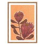 Proteas By Domica Hill Art Print-PRINT-Olive et Oriel-Domica Hill-50x70 cm | 19.6" x 27.5"-Walnut-With White Border-Buy-Australian-Art-Prints-Online-with-Olive-et-Oriel-Your-Artwork-Specialists-Austrailia-Decorate-With-Coastal-Photo-Wall-Art-Prints-From-Our-Beach-House-Artwork-Collection-Fine-Poster-and-Framed-Artwork