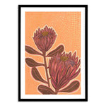 Proteas By Domica Hill Art Print-PRINT-Olive et Oriel-Domica Hill-A5 | 5.8" x 8.3" | 14.8 x 21cm-Black-With White Border-Buy-Australian-Art-Prints-Online-with-Olive-et-Oriel-Your-Artwork-Specialists-Austrailia-Decorate-With-Coastal-Photo-Wall-Art-Prints-From-Our-Beach-House-Artwork-Collection-Fine-Poster-and-Framed-Artwork