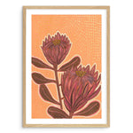 Proteas By Domica Hill Art Print-PRINT-Olive et Oriel-Domica Hill-A5 | 5.8" x 8.3" | 14.8 x 21cm-Oak-With White Border-Buy-Australian-Art-Prints-Online-with-Olive-et-Oriel-Your-Artwork-Specialists-Austrailia-Decorate-With-Coastal-Photo-Wall-Art-Prints-From-Our-Beach-House-Artwork-Collection-Fine-Poster-and-Framed-Artwork