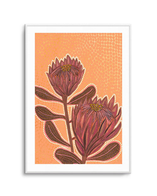 Proteas By Domica Hill Art Print-PRINT-Olive et Oriel-Domica Hill-Buy-Australian-Art-Prints-Online-with-Olive-et-Oriel-Your-Artwork-Specialists-Austrailia-Decorate-With-Coastal-Photo-Wall-Art-Prints-From-Our-Beach-House-Artwork-Collection-Fine-Poster-and-Framed-Artwork
