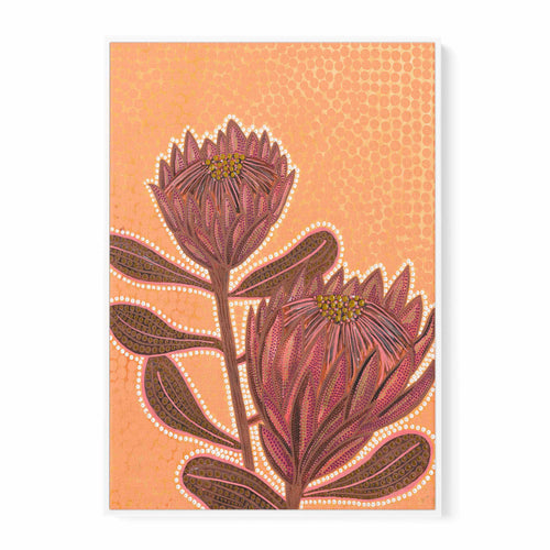 Proteas by Domica Hill | Framed Canvas-CANVAS-You can shop wall art online with Olive et Oriel for everything from abstract art to fun kids wall art. Our beautiful modern art prints and canvas art are available from large canvas prints to wall art paintings and our proudly Australian artwork collection offers only the highest quality framed large wall art and canvas art Australia - You can buy fashion photography prints or Hampton print posters and paintings on canvas from Olive et Oriel and hav