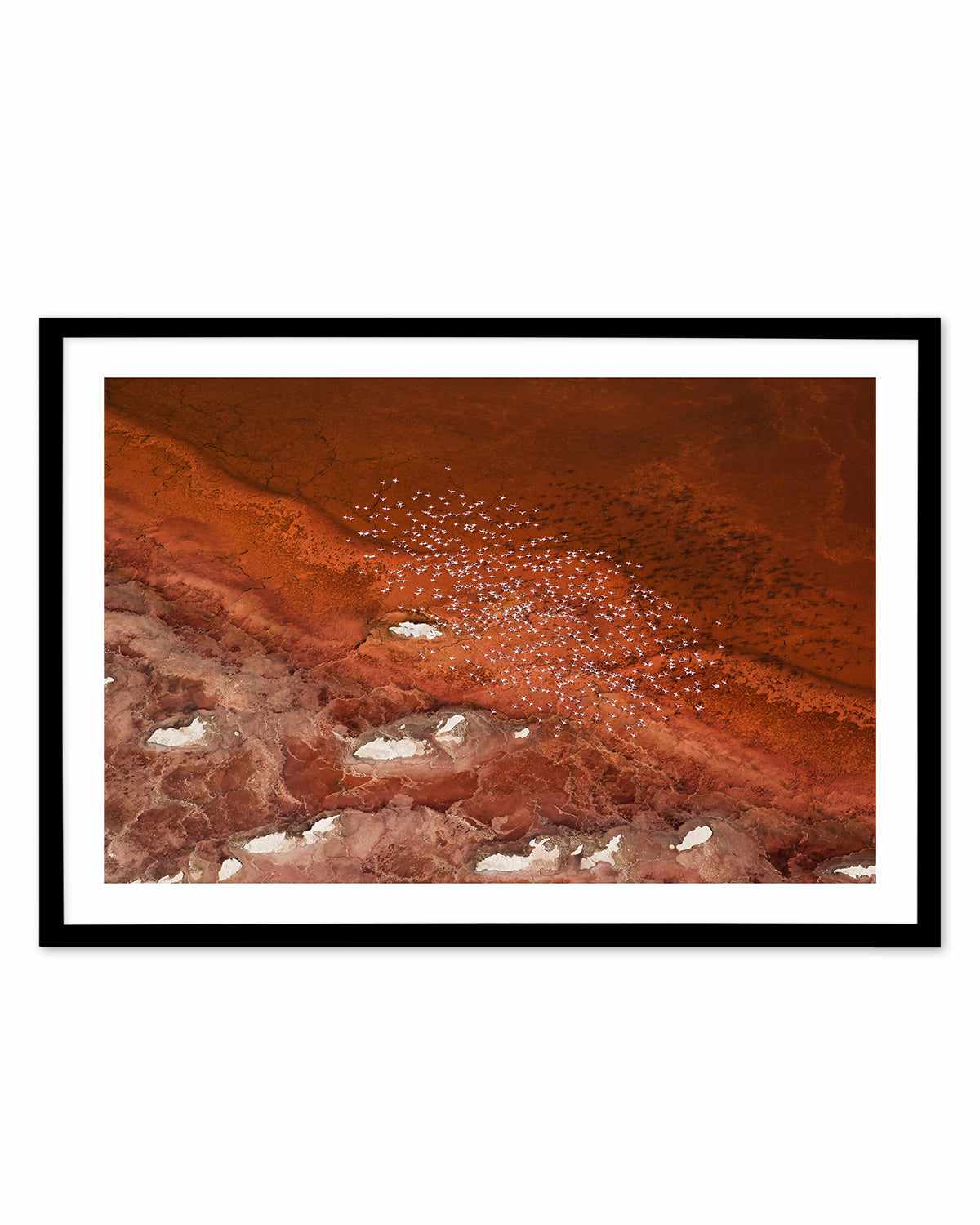 Red Earth by Phillip Chang Art Print