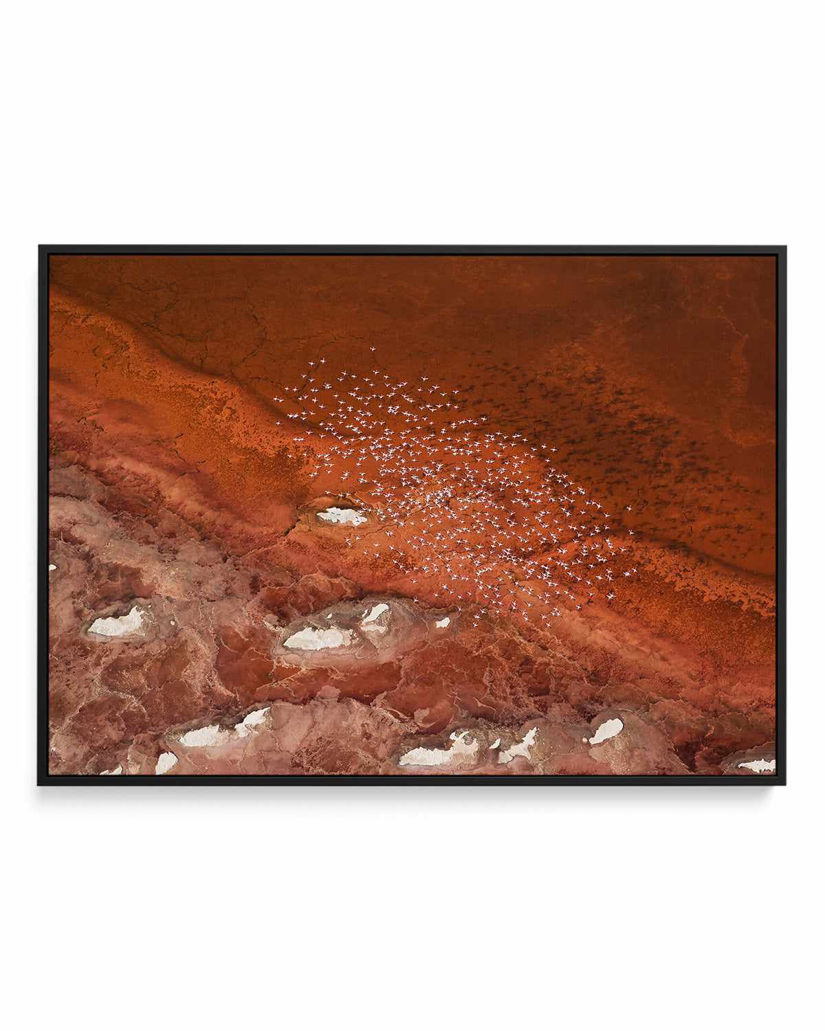 Red Earth by Phillip Chang | Framed Canvas Art Print