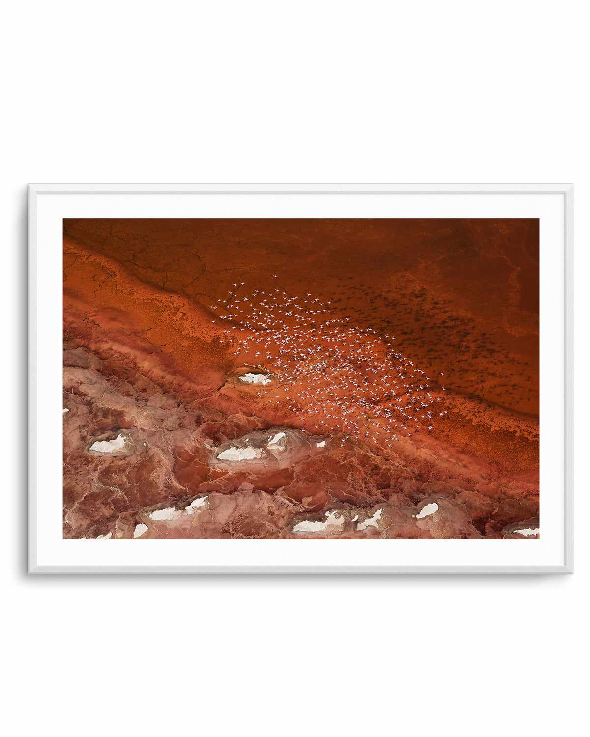 Red Earth by Phillip Chang Art Print