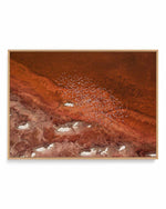 Red Earth by Phillip Chang | Framed Canvas Art Print