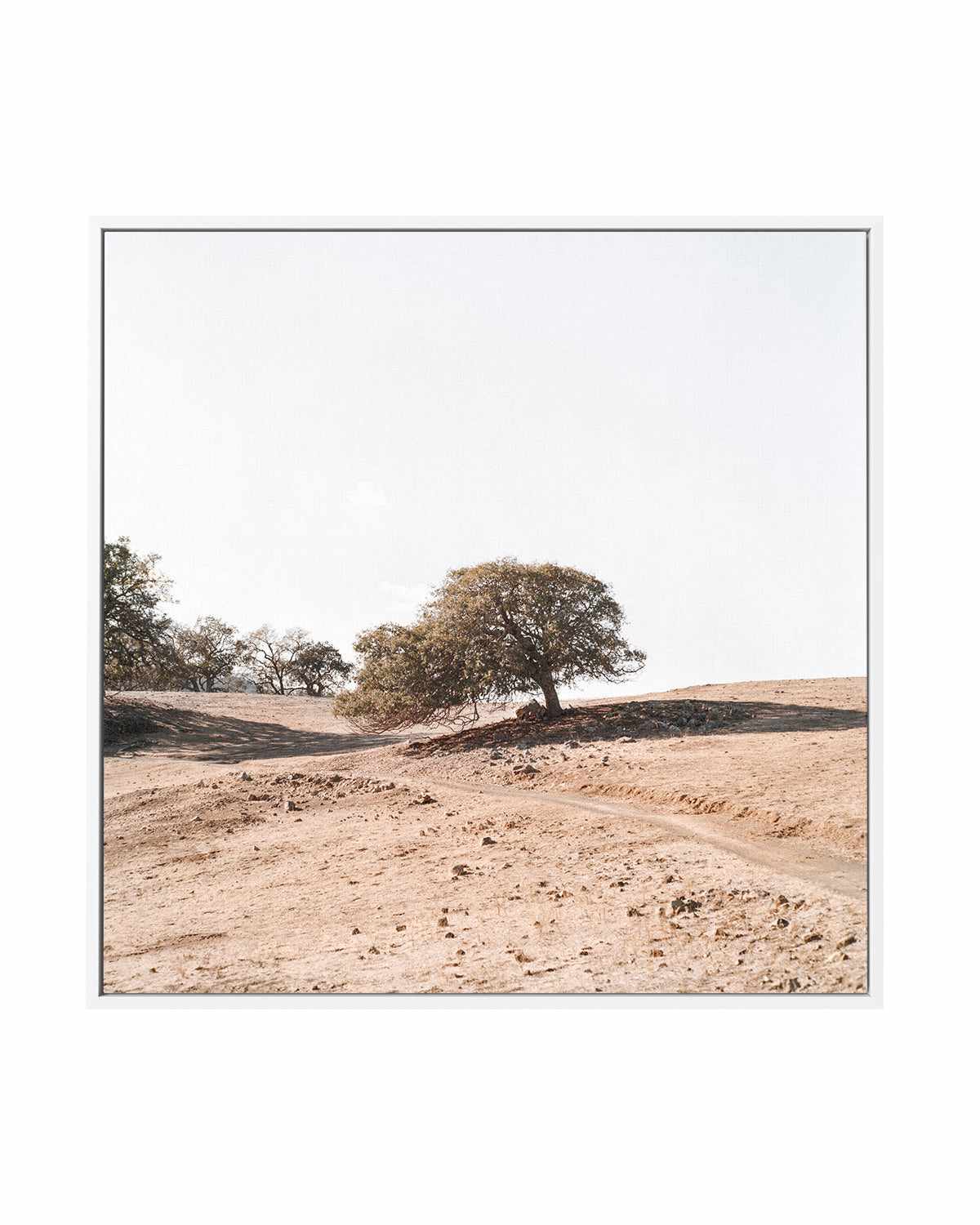 Rest Stop SQ by Caleb Morris | Framed Canvas Art Print