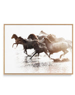 Riviere Stallions | Framed Canvas-CANVAS-You can shop wall art online with Olive et Oriel for everything from abstract art to fun kids wall art. Our beautiful modern art prints and canvas art are available from large canvas prints to wall art paintings and our proudly Australian artwork collection offers only the highest quality framed large wall art and canvas art Australia - You can buy fashion photography prints or Hampton print posters and paintings on canvas from Olive et Oriel and have the