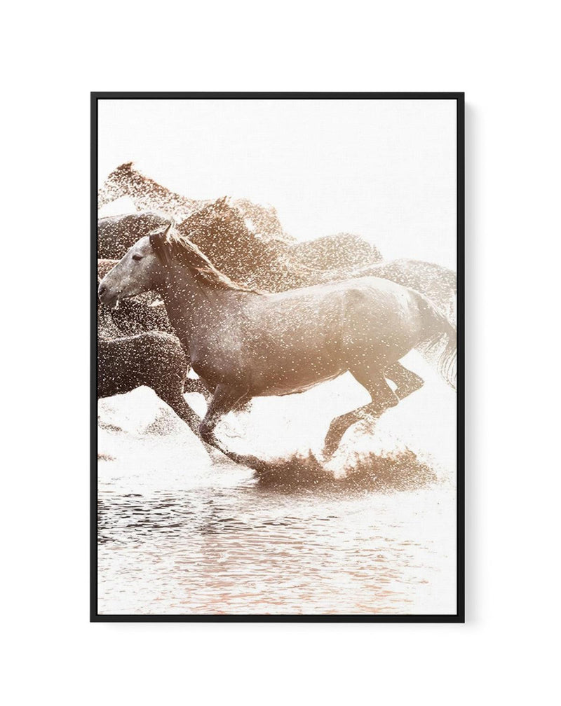 Riviere Stallions | Right | Framed Canvas-CANVAS-You can shop wall art online with Olive et Oriel for everything from abstract art to fun kids wall art. Our beautiful modern art prints and canvas art are available from large canvas prints to wall art paintings and our proudly Australian artwork collection offers only the highest quality framed large wall art and canvas art Australia - You can buy fashion photography prints or Hampton print posters and paintings on canvas from Olive et Oriel and 