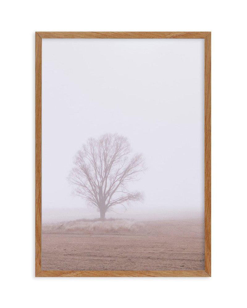 Rolling Mist Art Print-PRINT-Olive et Oriel-Olive et Oriel-50x70 cm | 19.6" x 27.5"-Walnut-With White Border-Buy-Australian-Art-Prints-Online-with-Olive-et-Oriel-Your-Artwork-Specialists-Austrailia-Decorate-With-Coastal-Photo-Wall-Art-Prints-From-Our-Beach-House-Artwork-Collection-Fine-Poster-and-Framed-Artwork