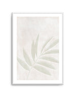 Sage Botanica II Art Print-PRINT-Olive et Oriel-Olive et Oriel-A5 | 5.8" x 8.3" | 14.8 x 21cm-Unframed Art Print-With White Border-Buy-Australian-Art-Prints-Online-with-Olive-et-Oriel-Your-Artwork-Specialists-Austrailia-Decorate-With-Coastal-Photo-Wall-Art-Prints-From-Our-Beach-House-Artwork-Collection-Fine-Poster-and-Framed-Artwork