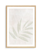 Sage Botanica II Art Print-PRINT-Olive et Oriel-Olive et Oriel-A5 | 5.8" x 8.3" | 14.8 x 21cm-Oak-With White Border-Buy-Australian-Art-Prints-Online-with-Olive-et-Oriel-Your-Artwork-Specialists-Austrailia-Decorate-With-Coastal-Photo-Wall-Art-Prints-From-Our-Beach-House-Artwork-Collection-Fine-Poster-and-Framed-Artwork