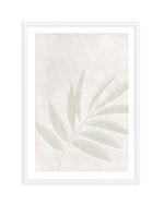 Sage Botanica II Art Print-PRINT-Olive et Oriel-Olive et Oriel-A5 | 5.8" x 8.3" | 14.8 x 21cm-White-With White Border-Buy-Australian-Art-Prints-Online-with-Olive-et-Oriel-Your-Artwork-Specialists-Austrailia-Decorate-With-Coastal-Photo-Wall-Art-Prints-From-Our-Beach-House-Artwork-Collection-Fine-Poster-and-Framed-Artwork