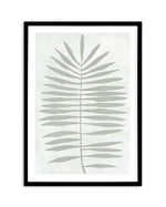 Sage Leaf I Art Print-PRINT-Olive et Oriel-Olive et Oriel-A5 | 5.8" x 8.3" | 14.8 x 21cm-Black-With White Border-Buy-Australian-Art-Prints-Online-with-Olive-et-Oriel-Your-Artwork-Specialists-Austrailia-Decorate-With-Coastal-Photo-Wall-Art-Prints-From-Our-Beach-House-Artwork-Collection-Fine-Poster-and-Framed-Artwork