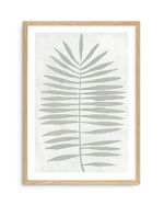 Sage Leaf I Art Print-PRINT-Olive et Oriel-Olive et Oriel-A5 | 5.8" x 8.3" | 14.8 x 21cm-Oak-With White Border-Buy-Australian-Art-Prints-Online-with-Olive-et-Oriel-Your-Artwork-Specialists-Austrailia-Decorate-With-Coastal-Photo-Wall-Art-Prints-From-Our-Beach-House-Artwork-Collection-Fine-Poster-and-Framed-Artwork